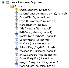 SQL SERVER - Using expressor Composite Types to Enforce Business Rules ex_c1 