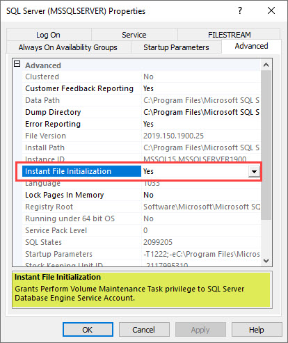 SQL SERVER 2019 - How to Turn On or Enable Instant File Initialization? SSCM-2019-IFI-01 