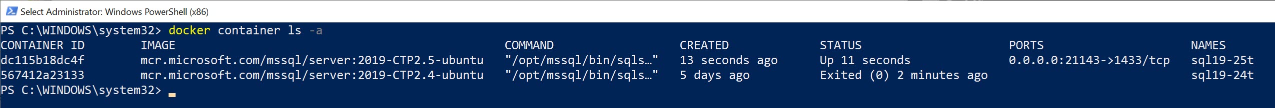Docker - Running SQL Server Image Without Running Pull Command dockersqlupgrade3 