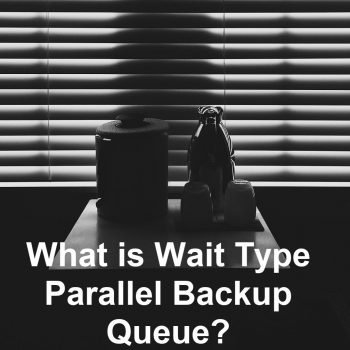 parallel backup