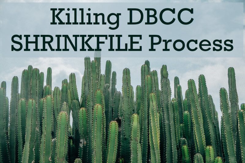 SQL SERVER - Killing DBCC SHRINKFILE Process - Is it Safe? SHRINKFILEProcess-800x533 