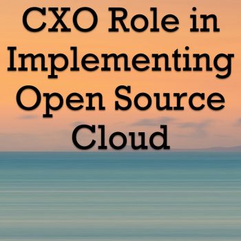 CXO Role