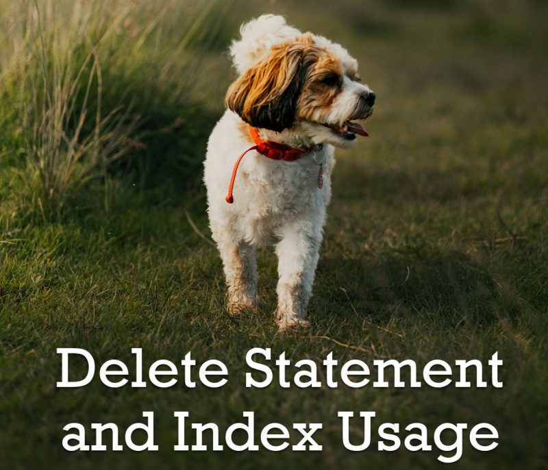 SQL SERVER - Delete Statement and Index Usage delete-800x686 
