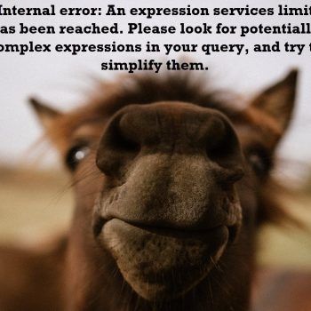 expression services