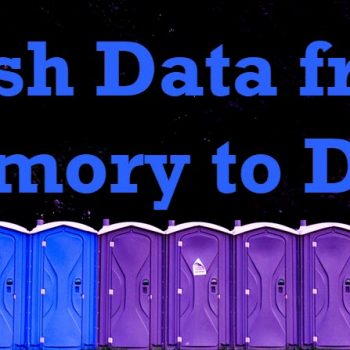 Flush Data