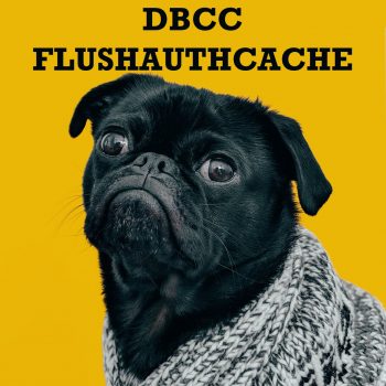 DBCC FLUSHAUTHCACHE