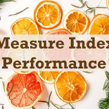 index performance