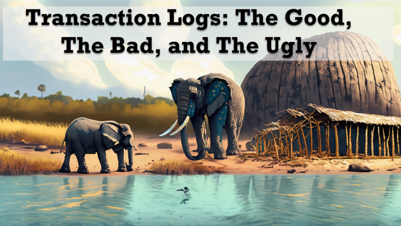 SQL SERVER - Transaction Logs: The Good, The Bad, and The Ugly tlog-800x452 
