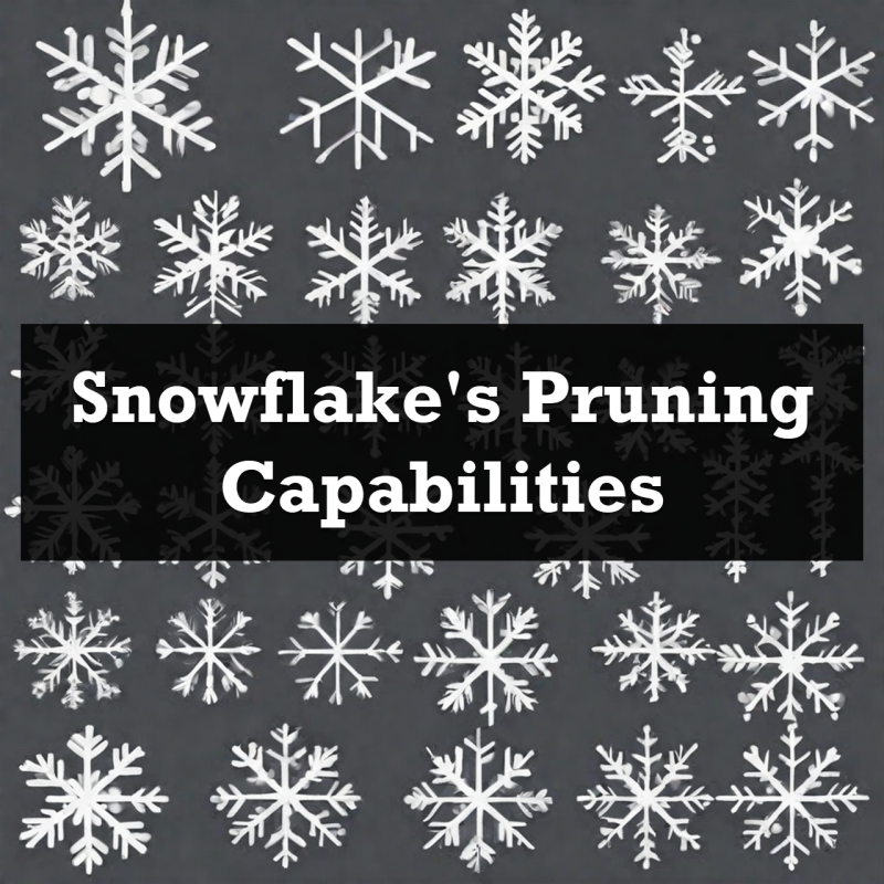 Snowflake's Pruning Capabilities - Faster Query Performance Snowflake_Pruning_cartoon_software-800x800 