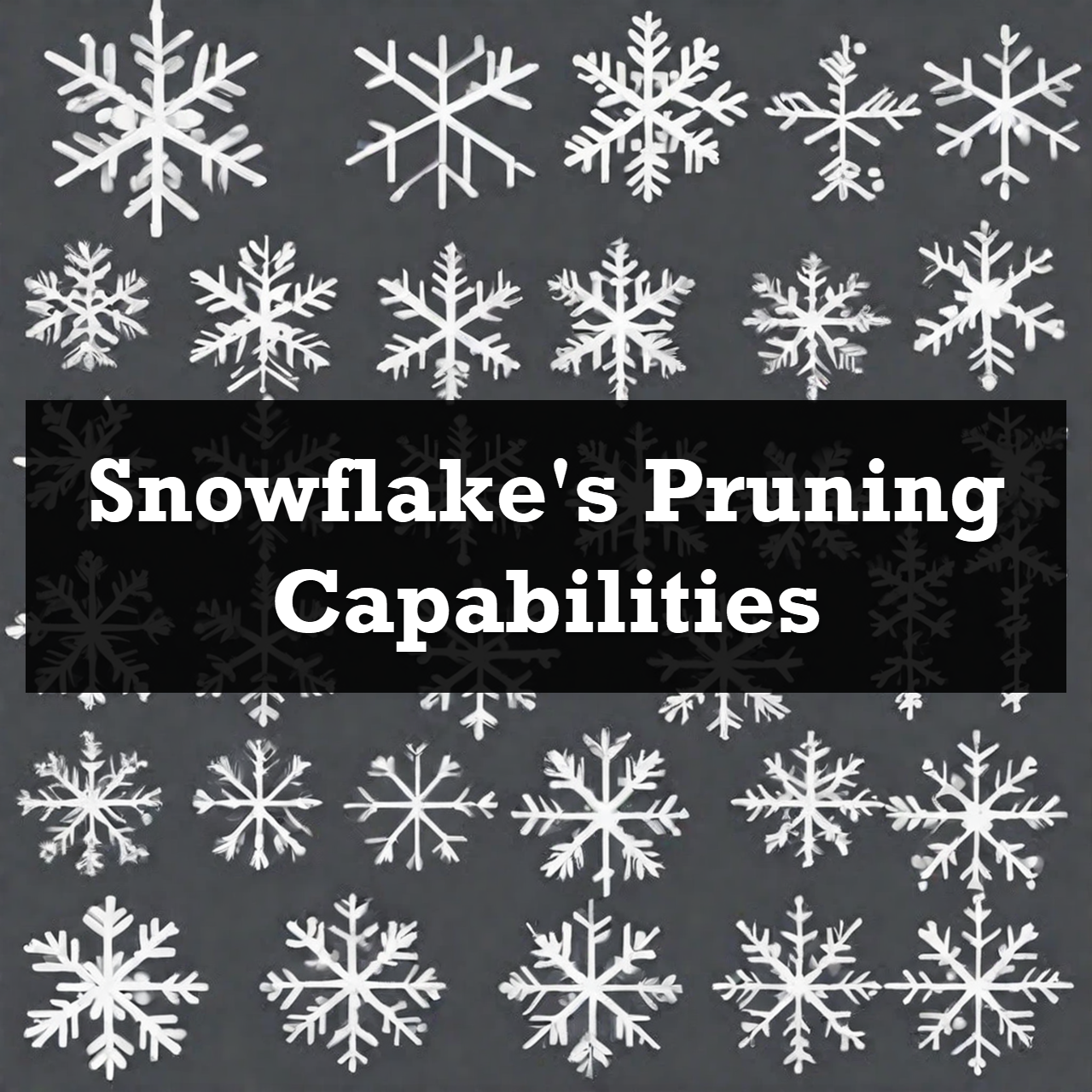Snowflake Pruning